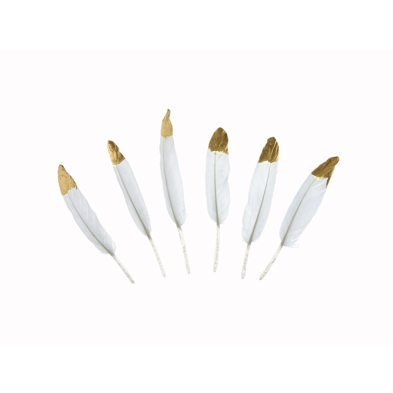 6 x Plume Blanche et Or