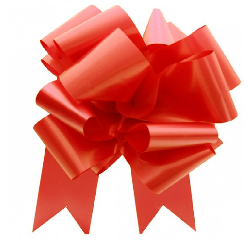 Afrsmw Nœud géant rouge à faire soi-même - Grand nœud rouge - Décoration de  voiture - Nœud décoratif pour la Saint-Valentin, le mariage, la fête, 27 x  29 cm : : Cuisine et Maison